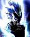 chibisupavegeta
